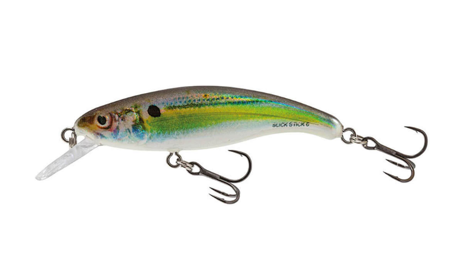 Salmo Slick Stick 6 Floating