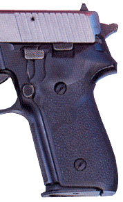 Hogue Grips Sigarms P228 & - P229 Rubber Panels Black 1