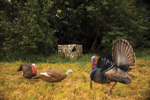 Primos Double Bull Stakeout W/ - Surroundview 59"w X 37"h Truth 2