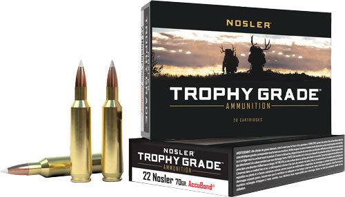 Nosler Trophy Grade 22 Nosler - 70gr Accubond Tip 20rd 10bx/cs 1