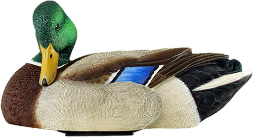 Avian X Power Shaker Mallard - Drake Preener Decoy 1