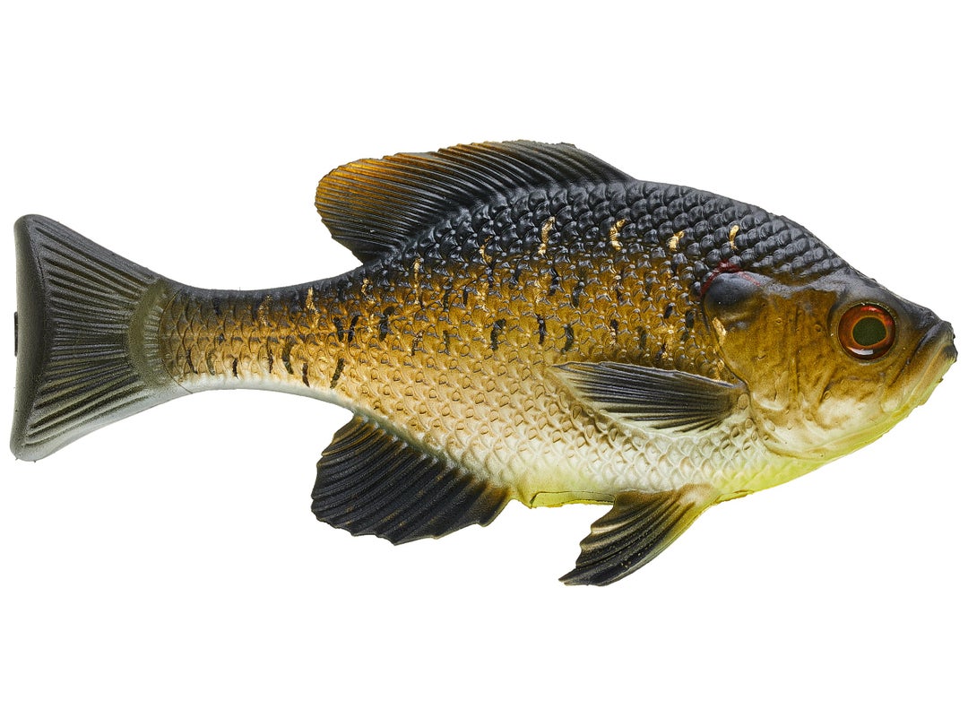 13 Fishing - Coalition The Gill Wedge Tail Swimbait 3