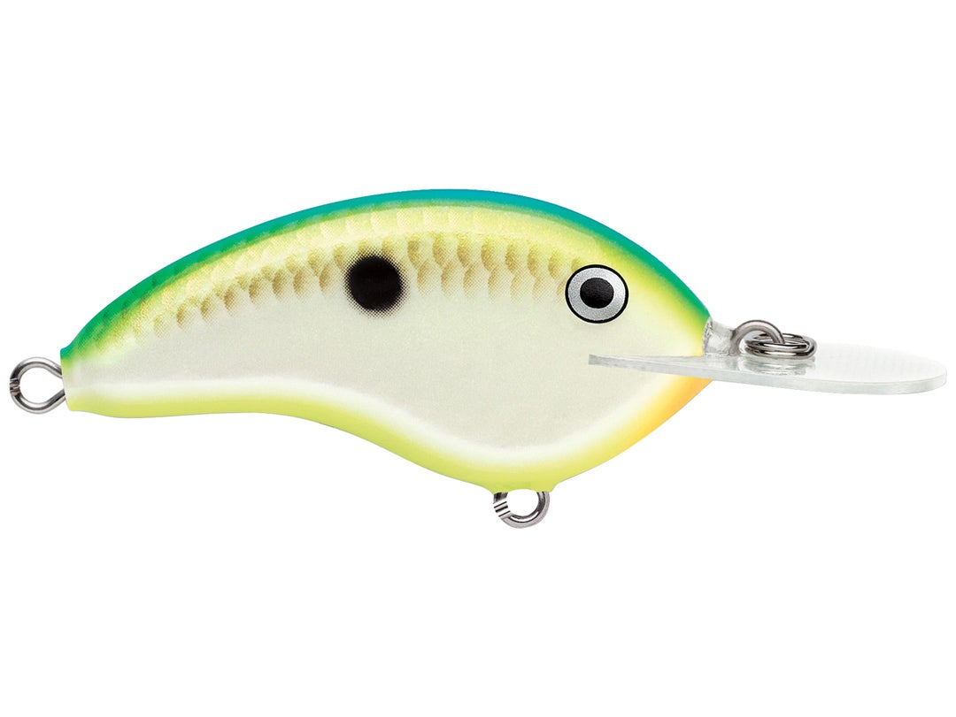 Rapala Ott's Garage Deep Tiny 07 Crankbaits 5