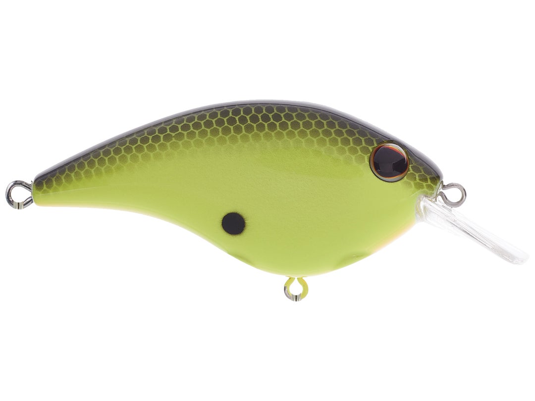 Berkley Clickin' Frittside 5 Crankbait 3