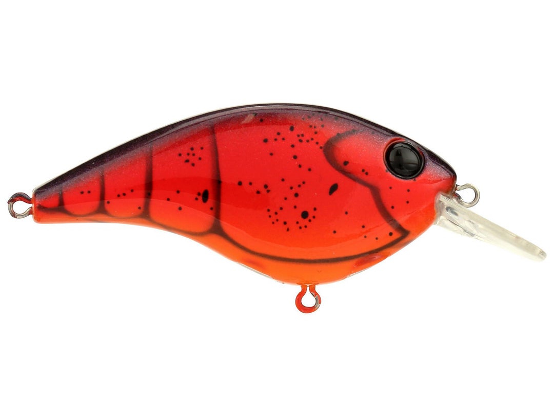 Berkley Clickin' Frittside 5 Crankbait 2