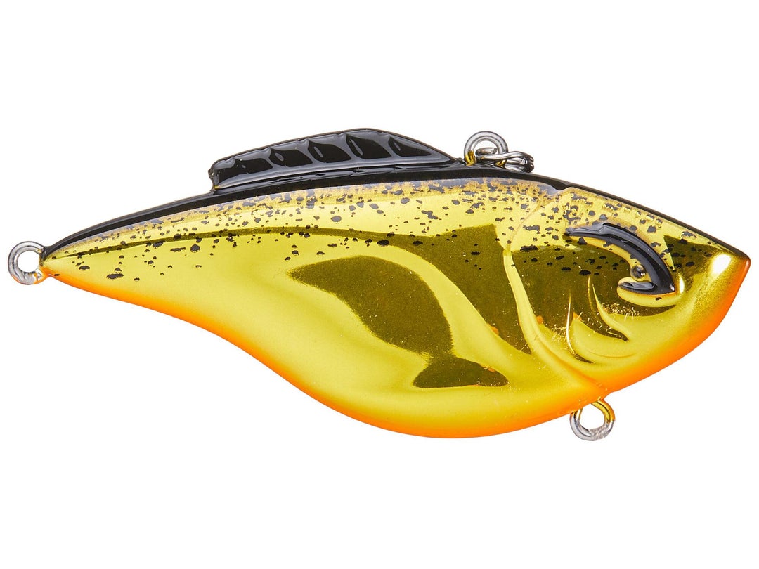 Bill Lewis Hammer Trap 6