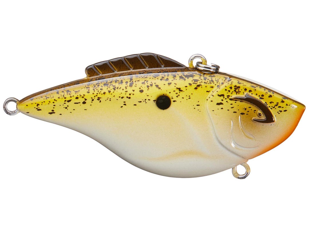 Bill Lewis Hammer Trap 13