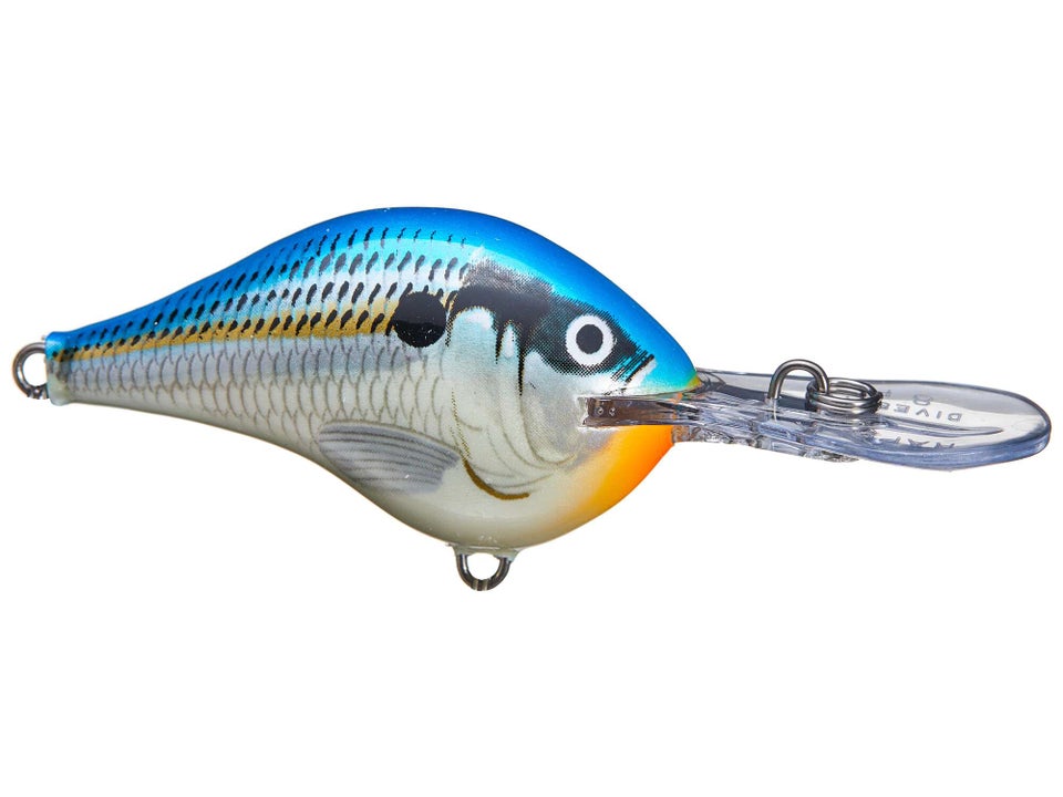 Rapala DT Series Crankbait 36