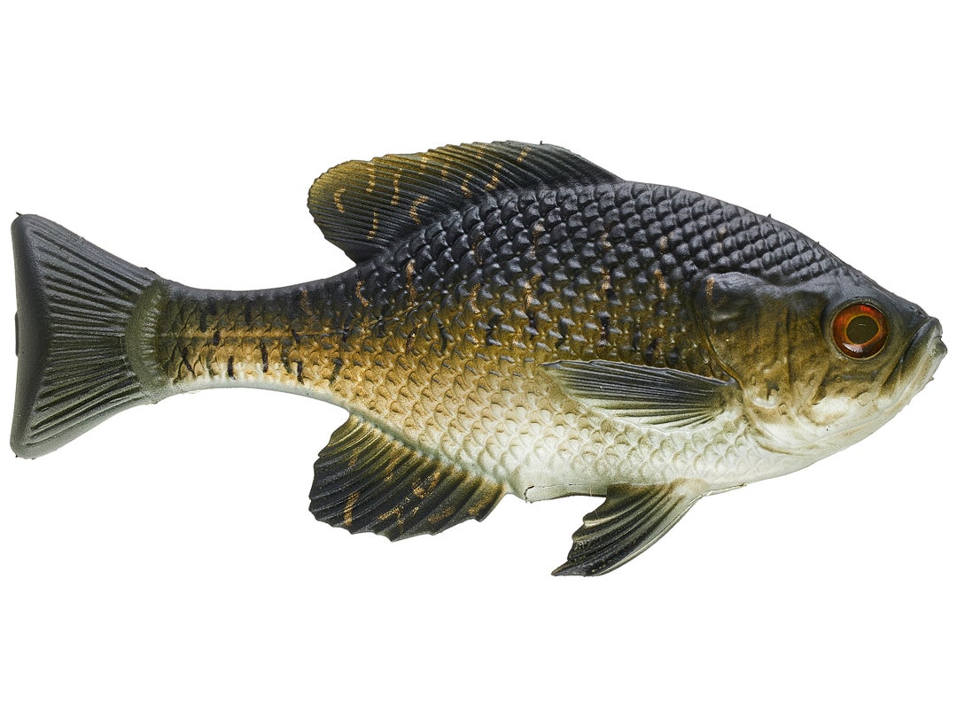 13 Fishing - Coalition The Gill Wedge Tail Swimbait 2