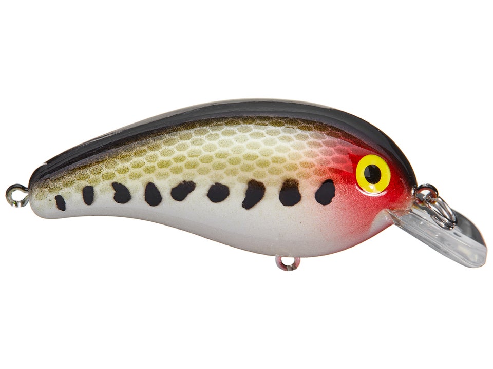 cotton fishing lure Cotton Cordell Big O Square-Lip Crankbait