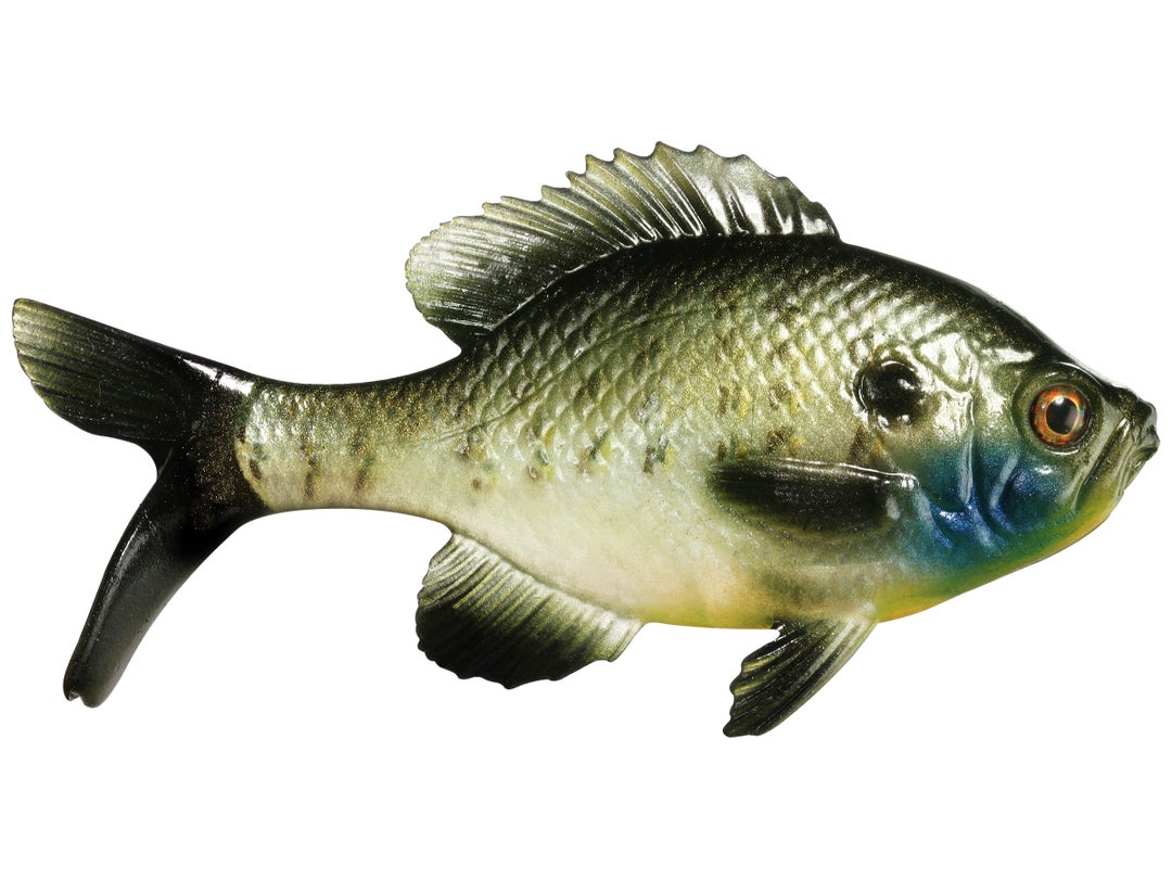 13 Fishing - Coalition Bait Co The Gill Swimbait 2