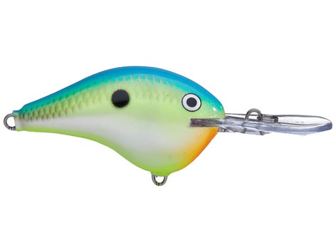 Rapala DT Series Crankbait 29