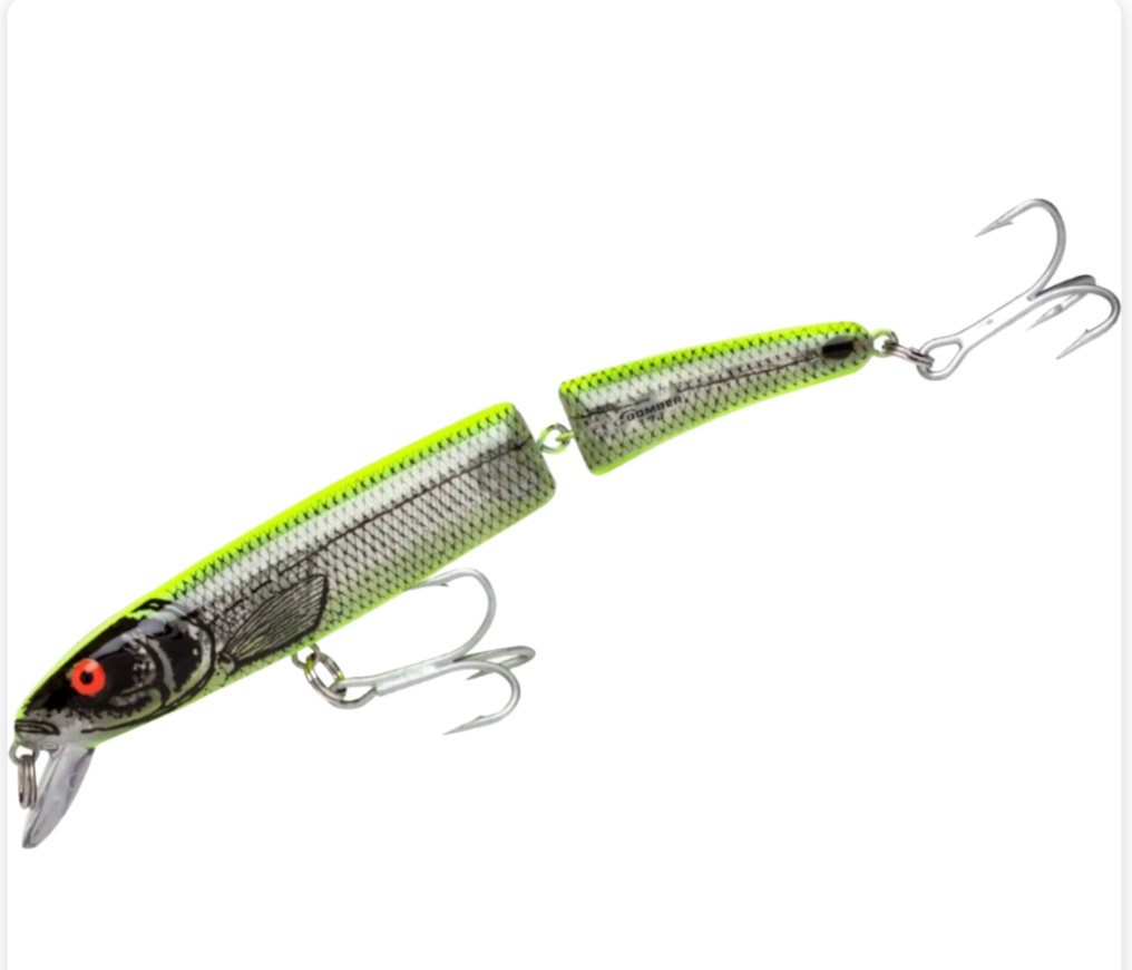 Bomber Saltwater Grade Heavy Duty Long A Hard Jerkbait 9