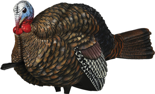 Avian X Lcd 1-2 Strut Jake - Decoy 3