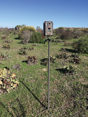 Stealth Cam Trail Cam Mounting - Stick 34" High Steel 2