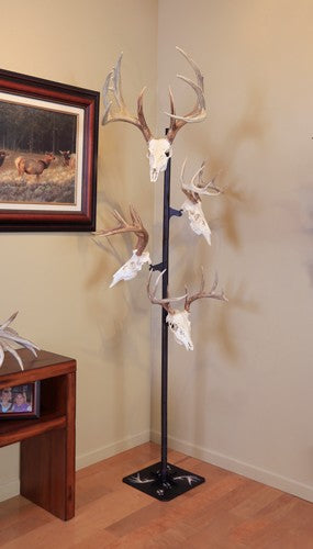 Skull Hooker Trophy Tree W- 5 - Brackets Customizable Display