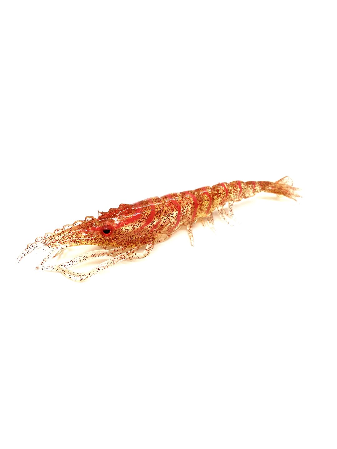 Overcast Lure Co. Bucking Shrimp 1