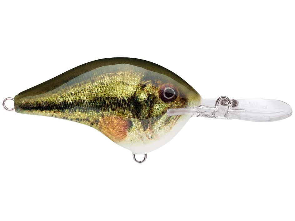 Rapala DT Series Crankbait 6