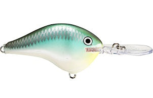 Rapala DT Series Crankbait 2