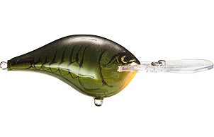 Rapala DT Series Crankbait 21