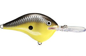 Rapala DT Series Crankbait 4