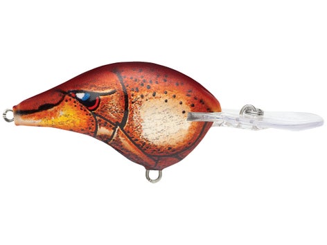 Rapala DT Series Crankbait 5