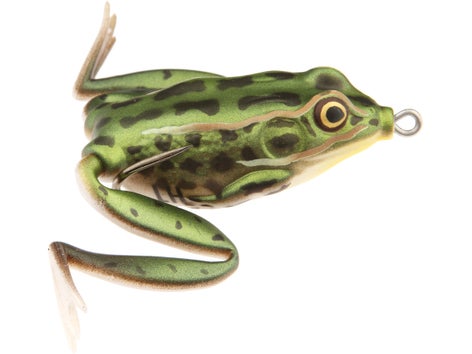 Lunkerhunt Pocket Frog 1