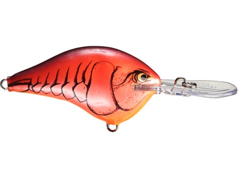 Rapala DT Series Crankbait 7