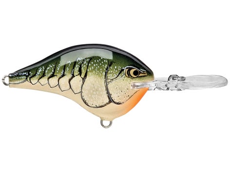 Rapala DT Series Crankbait 8
