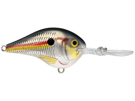 Rapala DT Series Crankbait 9