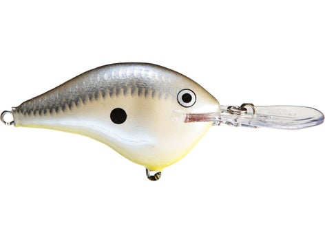 Rapala DT Series Crankbait 3