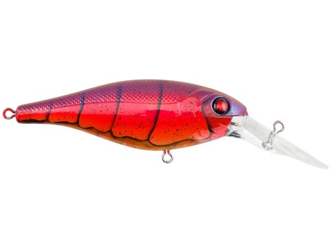 Berkley Bad Shad Crankbait 2