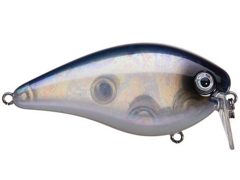 Strike King HC KVD 2.5 Wake Bait