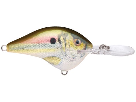 Rapala DT Series Crankbait 11