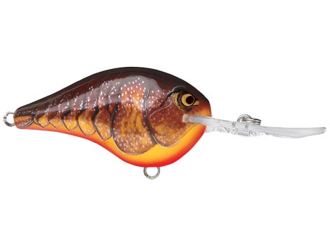 Rapala DT Series Crankbait 12