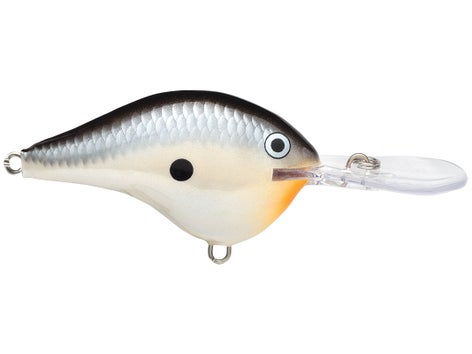 Rapala DT Series Crankbait 14