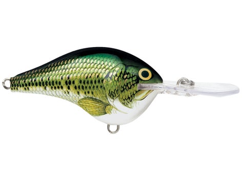 Rapala DT Series Crankbait 15