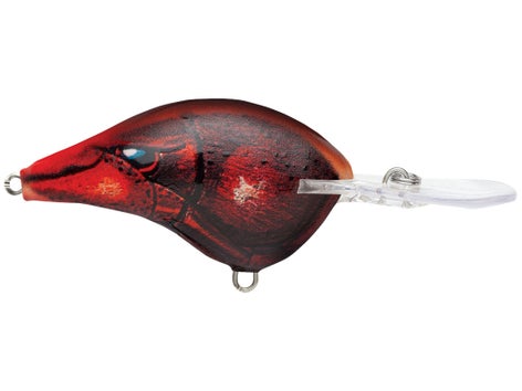 Rapala DT Series Crankbait 16