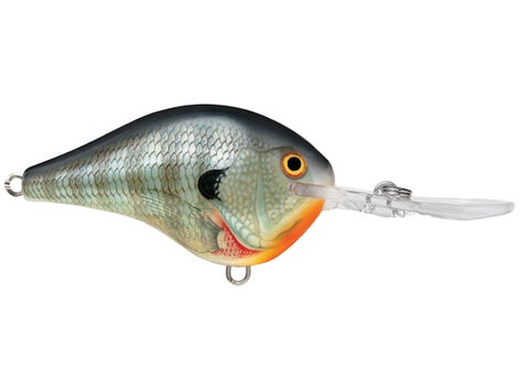 Rapala DT Series Crankbait 19