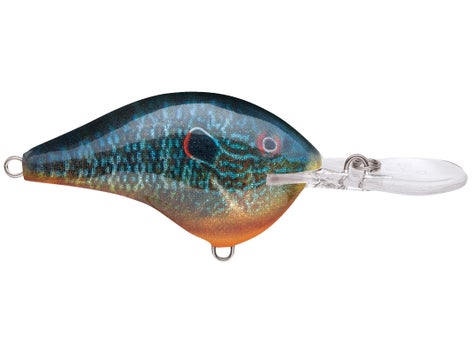 Rapala DT Series Crankbait 1