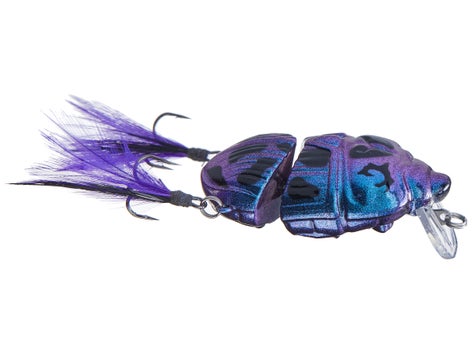 beetle fishing lure Lunkerhunt Battle Beetle Crankbait