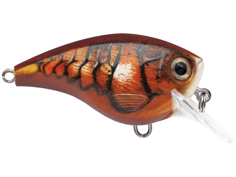 Rapala Balsa Xtreme BX Mid Brat Squarebill Crankbait 1