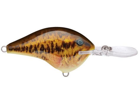 Rapala DT Series Crankbait 24