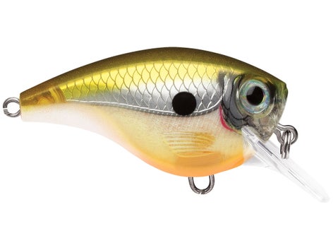 Rapala Balsa Xtreme BX Mid Brat Squarebill Crankbait 4