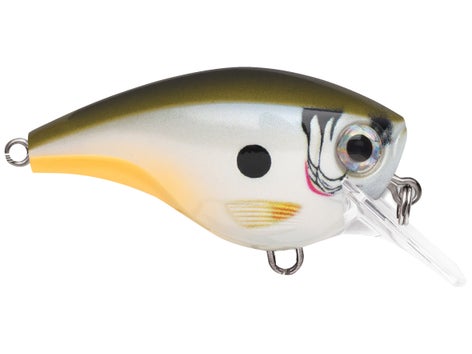 Rapala Balsa Xtreme BX Mid Brat Squarebill Crankbait 7
