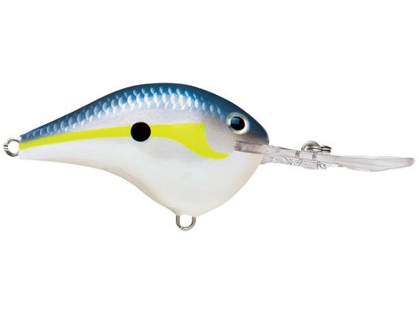 Rapala DT Series Crankbait 22
