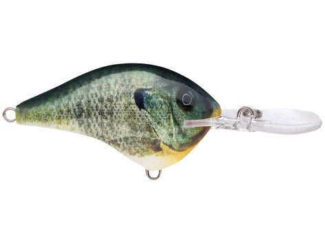 Rapala DT Series Crankbait 23