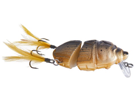 Lunkerhunt Battle Beetle Crankbait 4