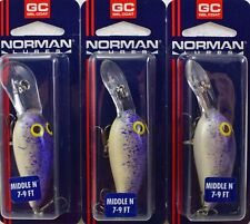 Norman Middle N Crankbait 6