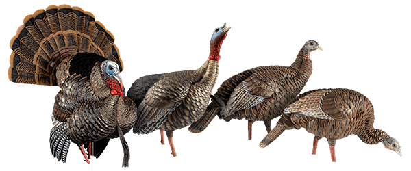 Decoys And Accessories